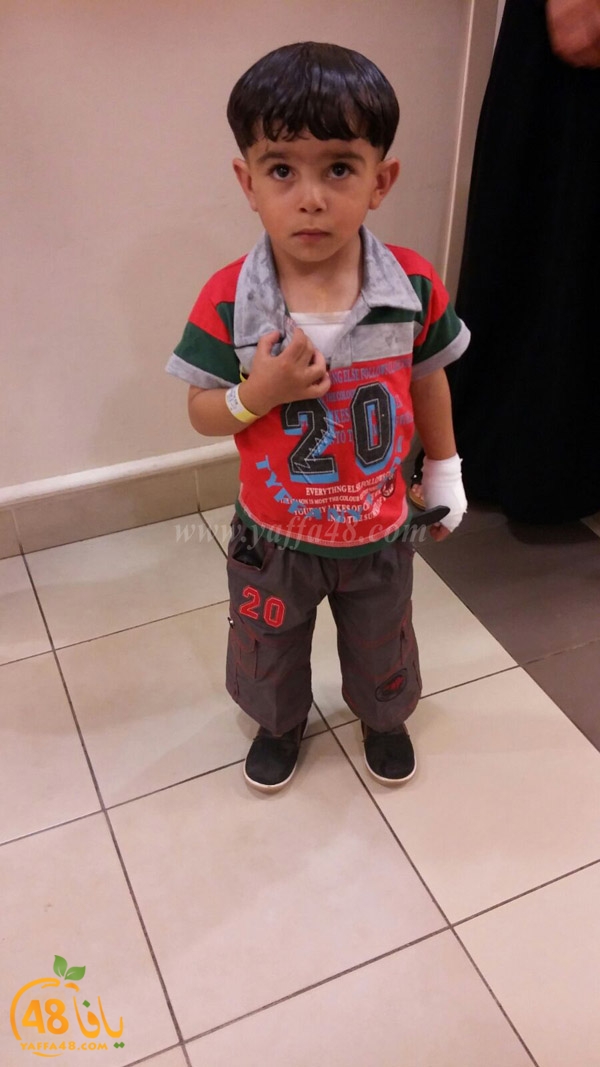 wafd atfaaal (4).jpg